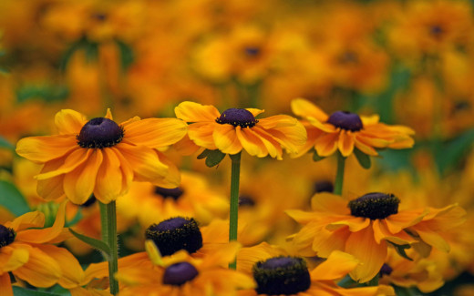 1027331 (a): :2880x1800